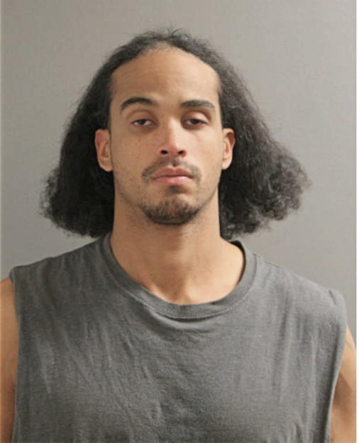 ZACHARY R BORNE, Cook County, Illinois