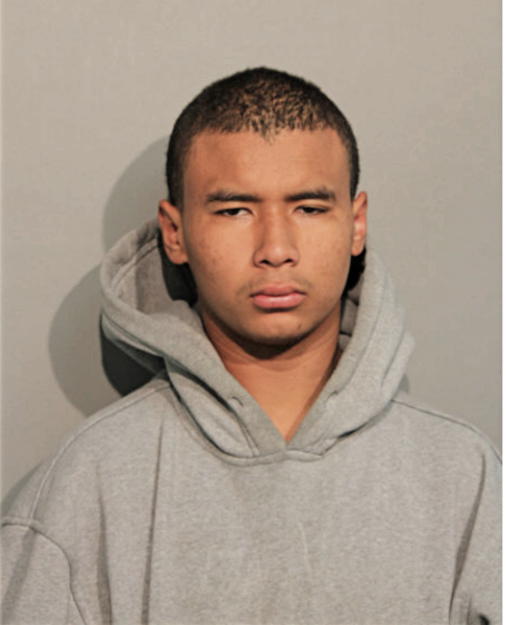 BRIAN CARRION, Cook County, Illinois
