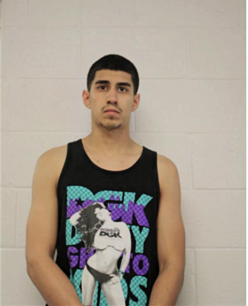 CARLOS CASAS, Cook County, Illinois