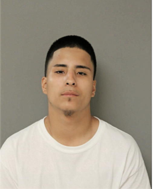 ALEJANDRO J ELVIRA, Cook County, Illinois