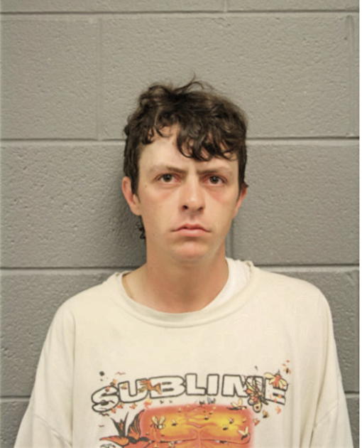 STEVEN B FILIPPIN, Cook County, Illinois