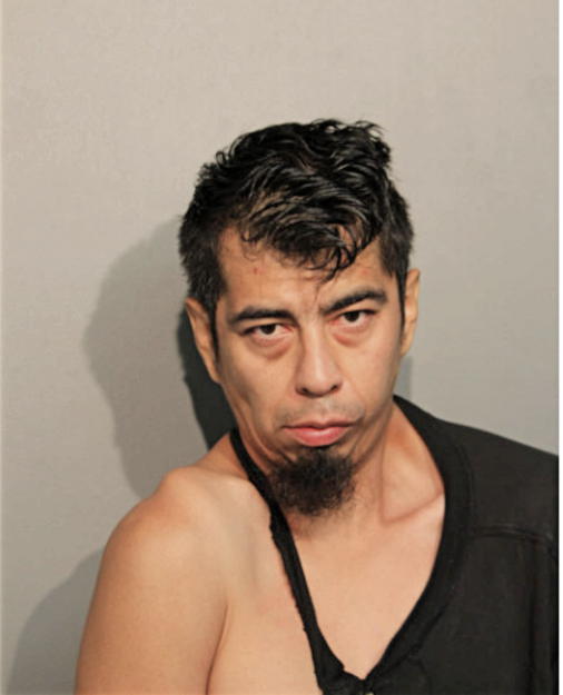 FRANCISCO J GARCIA, Cook County, Illinois