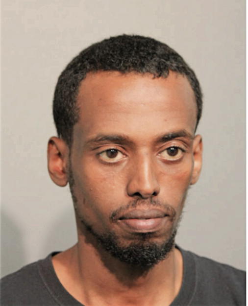 YOVIEL T GEBRE, Cook County, Illinois