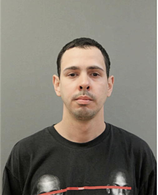 JORGE R GONZALEZ, Cook County, Illinois