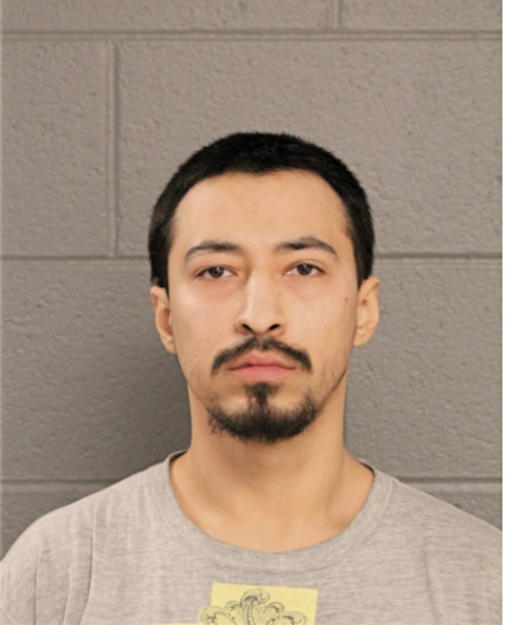 FERNANDO HERRERA, Cook County, Illinois