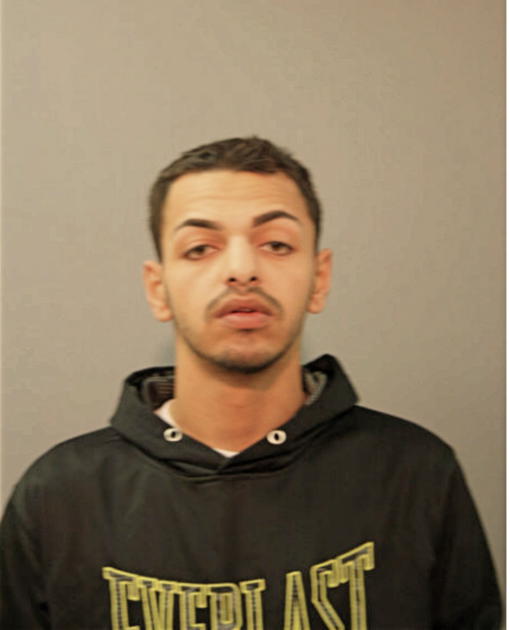 GREGORY JOHN, Cook County, Illinois