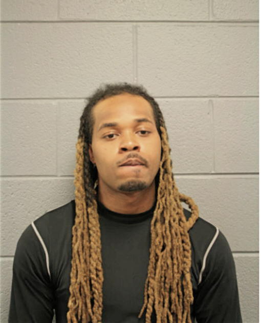 TERRY R JONES, Cook County, Illinois