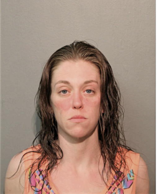 MEGAN M LEWIS, Cook County, Illinois