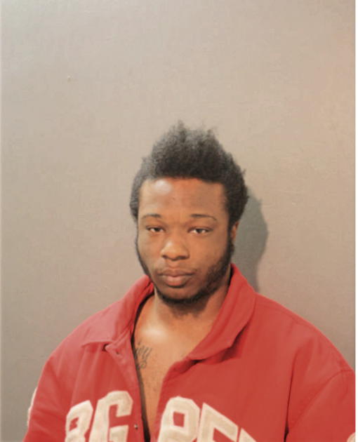 PRINCE S MCCOY, Cook County, Illinois