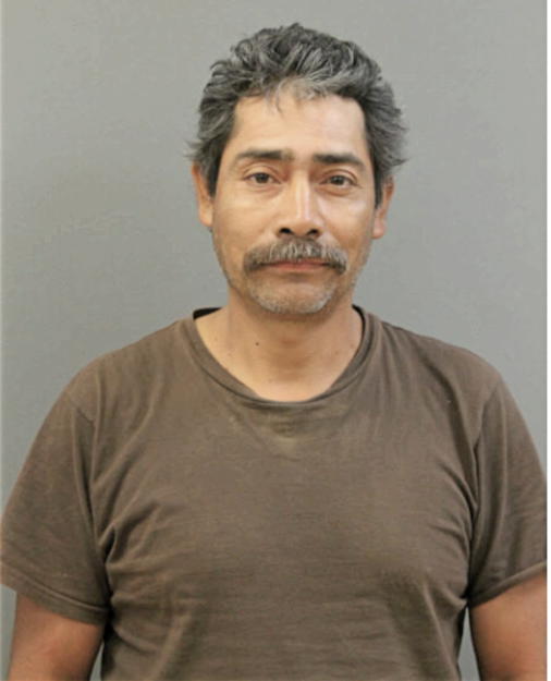 JESUS MEJIA, Cook County, Illinois