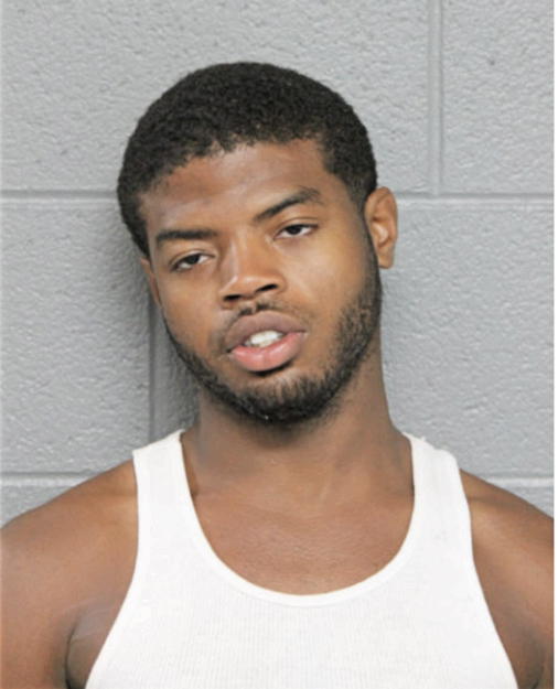 CHRISTOPHER L NEAL, Cook County, Illinois