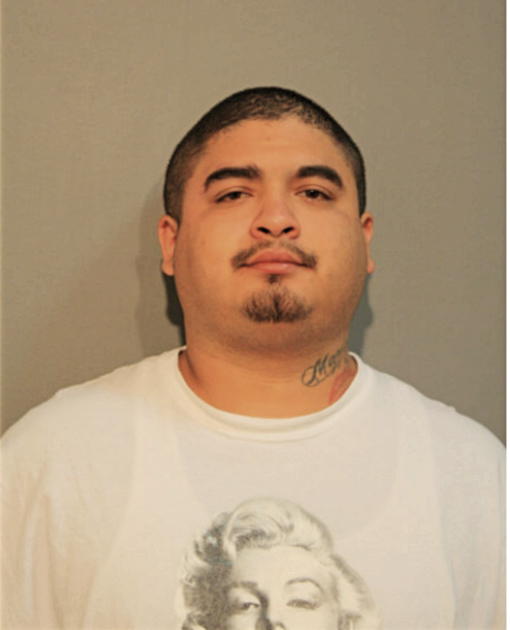 NICHOLAS ORTEGA, Cook County, Illinois