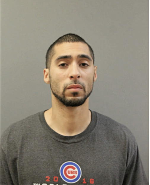 LUIS A RIVERA, Cook County, Illinois