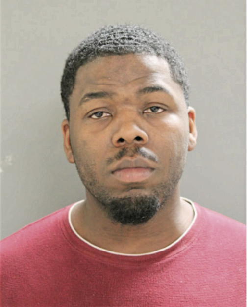 JULIAN M ROSS, Cook County, Illinois