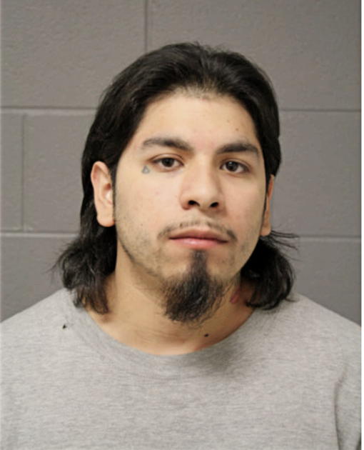 JOVONIE SALAS, Cook County, Illinois