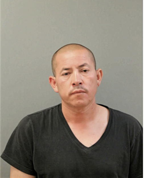 JUAN A SANDOVAL, Cook County, Illinois