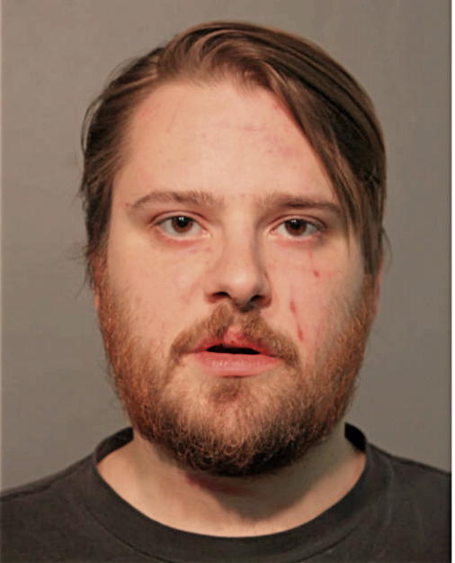 DAVID E SWANSON, Cook County, Illinois