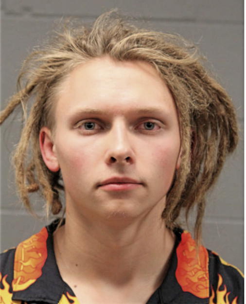 ARTSEMI V YUSHKEVICH, Cook County, Illinois