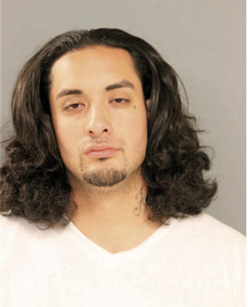 FRANCISCO J VILLAGOMEZ, Cook County, Illinois