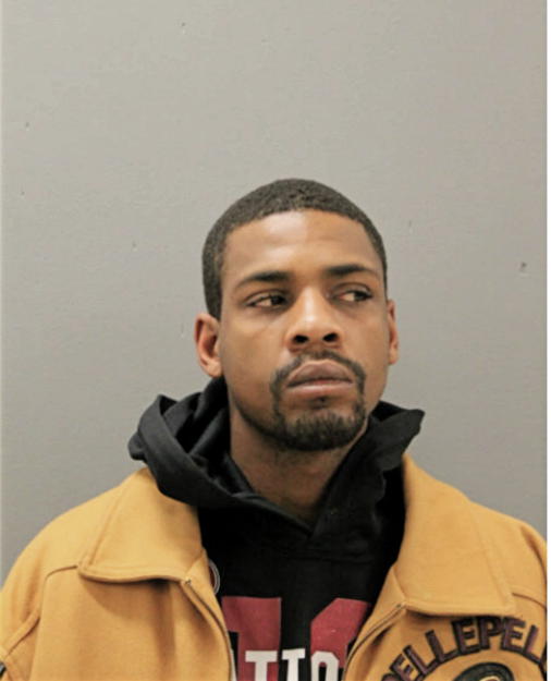 MICHAEL R ADAMS, Cook County, Illinois