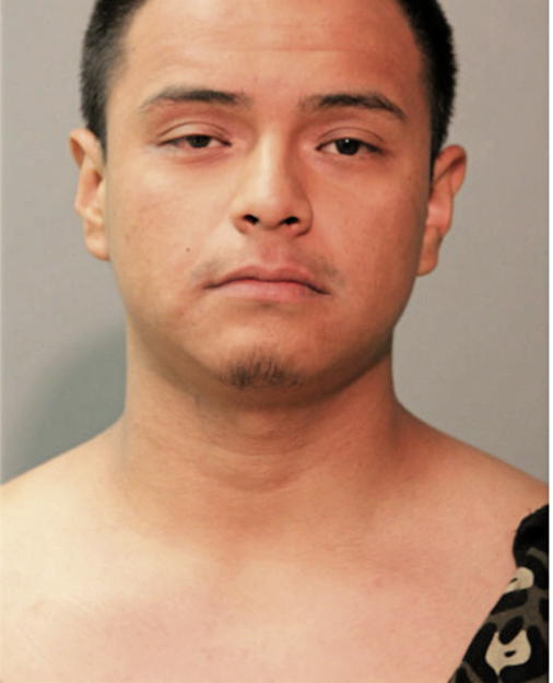 IVAN N ARELLANO, Cook County, Illinois
