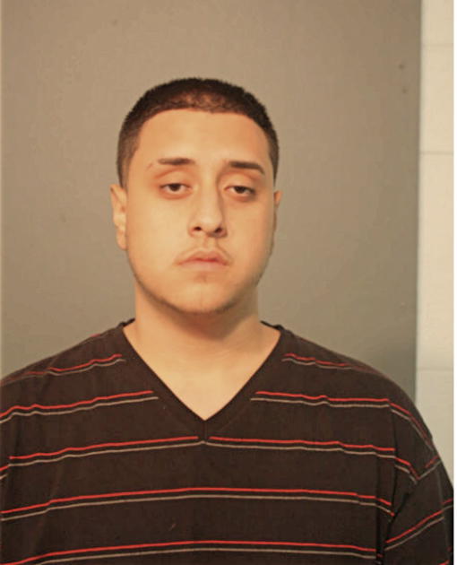 EDWIN L ARES, Cook County, Illinois