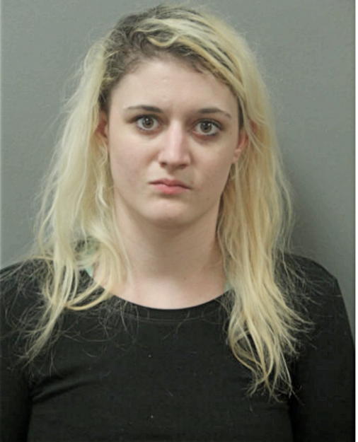 STEPHANIE L BAX, Cook County, Illinois