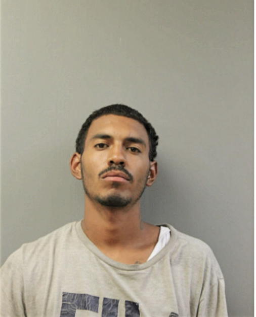 MILO D BROWN, Cook County, Illinois