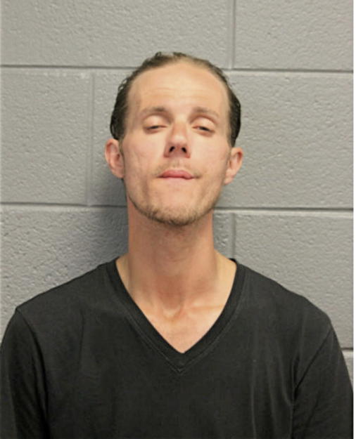 STANLEY T BRZOZOWSKI, Cook County, Illinois
