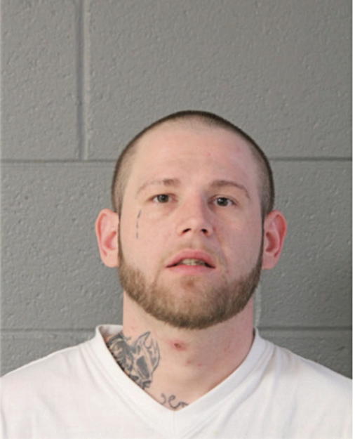 MICHAEL R CESAK, Cook County, Illinois