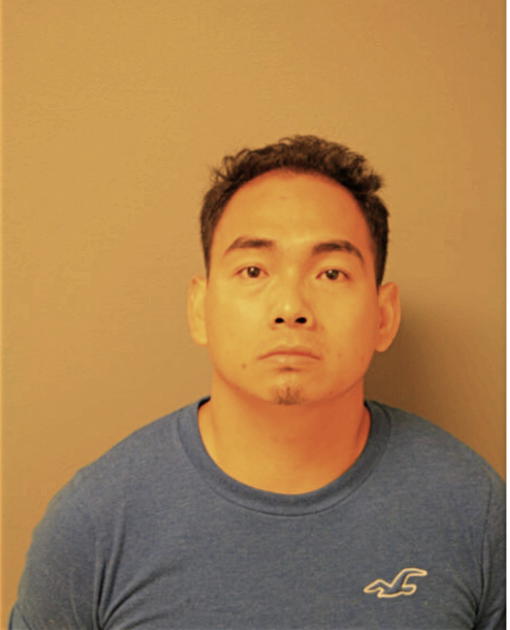 DING YU LI, Cook County, Illinois