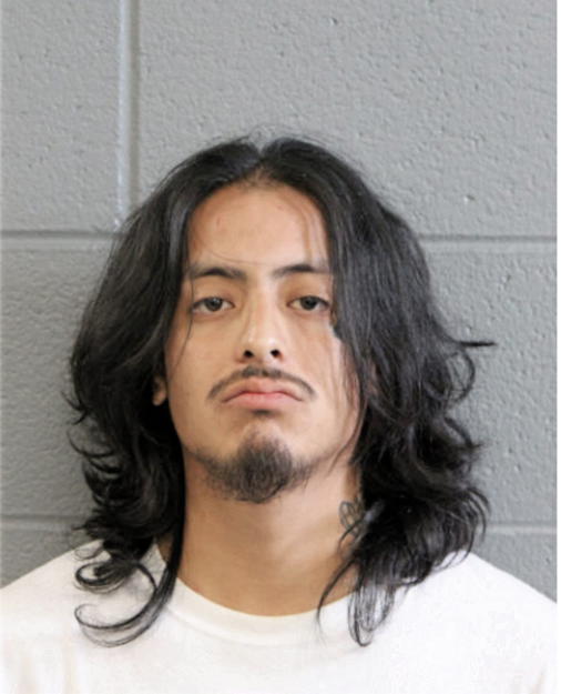 MONTESINOS NAIN, Cook County, Illinois
