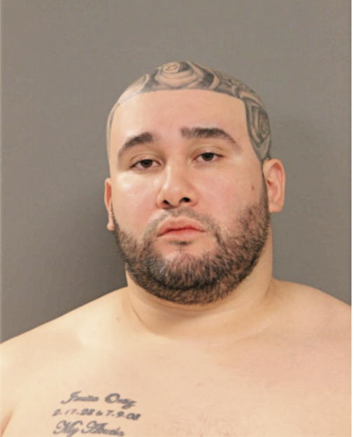 PAUL E PAGAN, Cook County, Illinois
