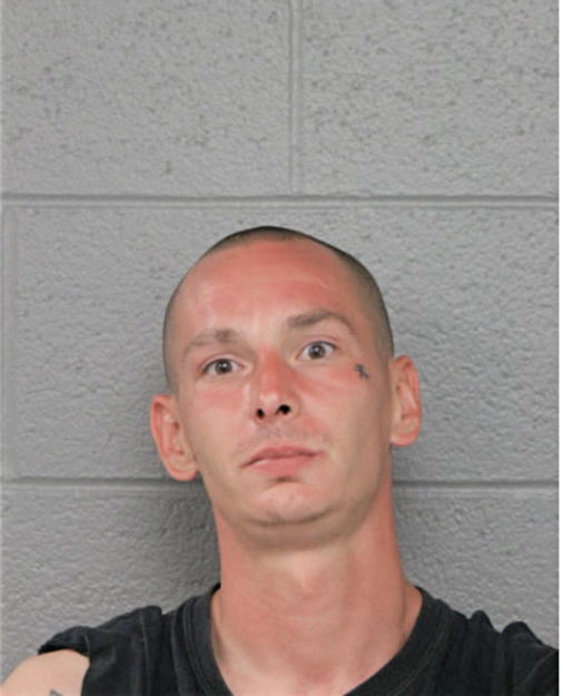 MICHAEL C RADICK, Cook County, Illinois