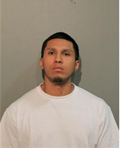 DAVID R RODRIGUEZ, Cook County, Illinois