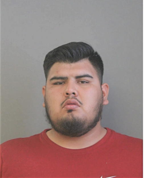 EDUARDO AVILA-NAVA, Cook County, Illinois