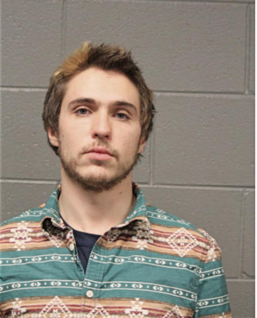 BRAD J BIRNEY, Cook County, Illinois