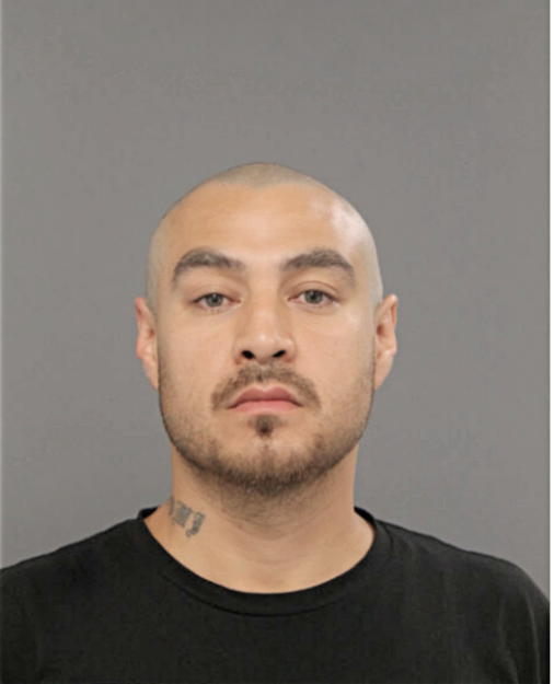 CESAR A BRAVO, Cook County, Illinois