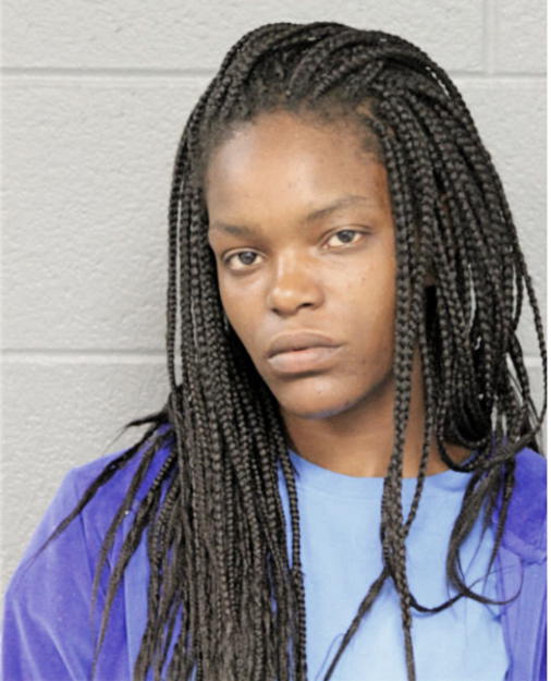 LYDIA P BROWN, Cook County, Illinois