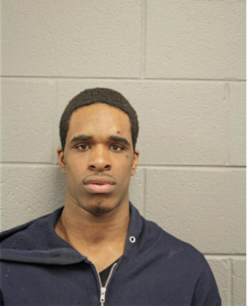 TERRY J DAVIS, Cook County, Illinois