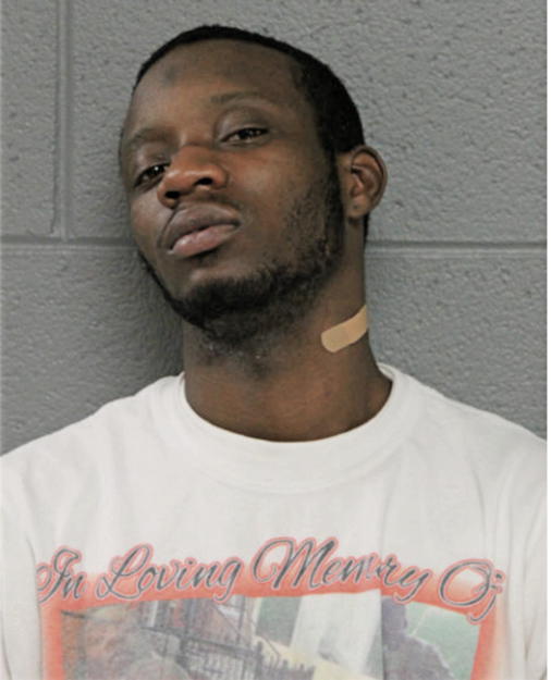 CORNELIUS C FLEMING, Cook County, Illinois