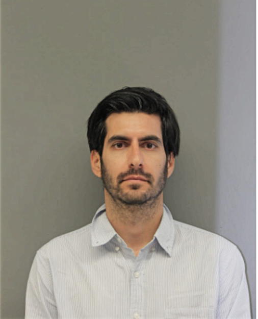 ALEXANDER N GOLDENBERG, Cook County, Illinois