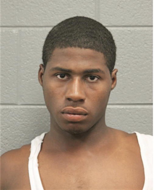 ANDRE N HEARD, Cook County, Illinois