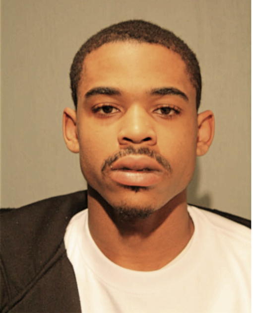 BRANDON K JOHNSON, Cook County, Illinois
