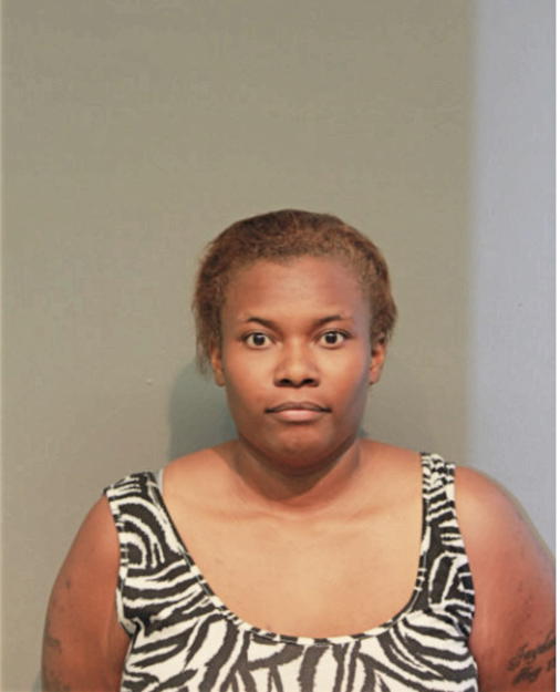 MEGAN E JOHNSON, Cook County, Illinois