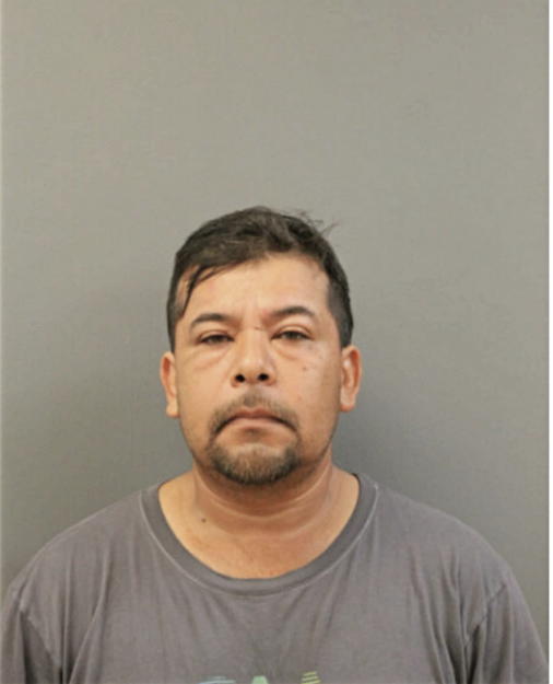 FERNANDO LAMADRID-GARCIA, Cook County, Illinois
