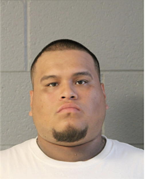 AARON MEDA, Cook County, Illinois