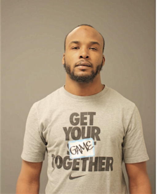 TRISTAN L MITCHELL, Cook County, Illinois