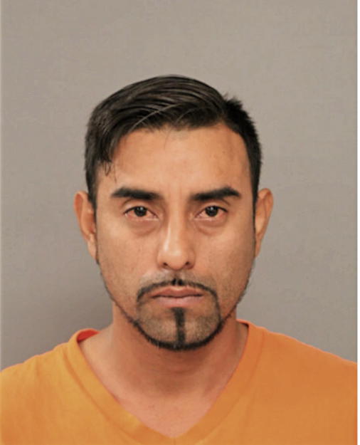 RICARDO PEREZ, Cook County, Illinois