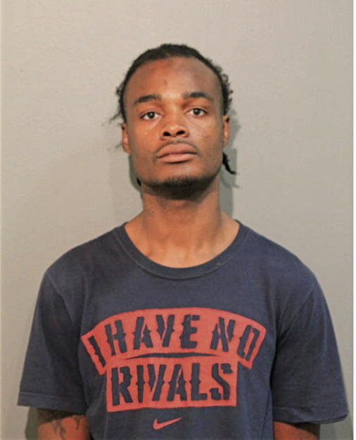 JOHNNIE L RICHARDSON, Cook County, Illinois